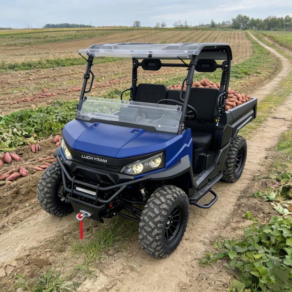 73,6V 4WD UTV 10kw AC мотор EPS Волан Батерија 150ah